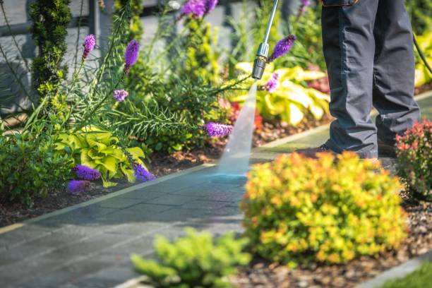 Best Boat and Dock Cleaning  in Wilkinsburg, PA